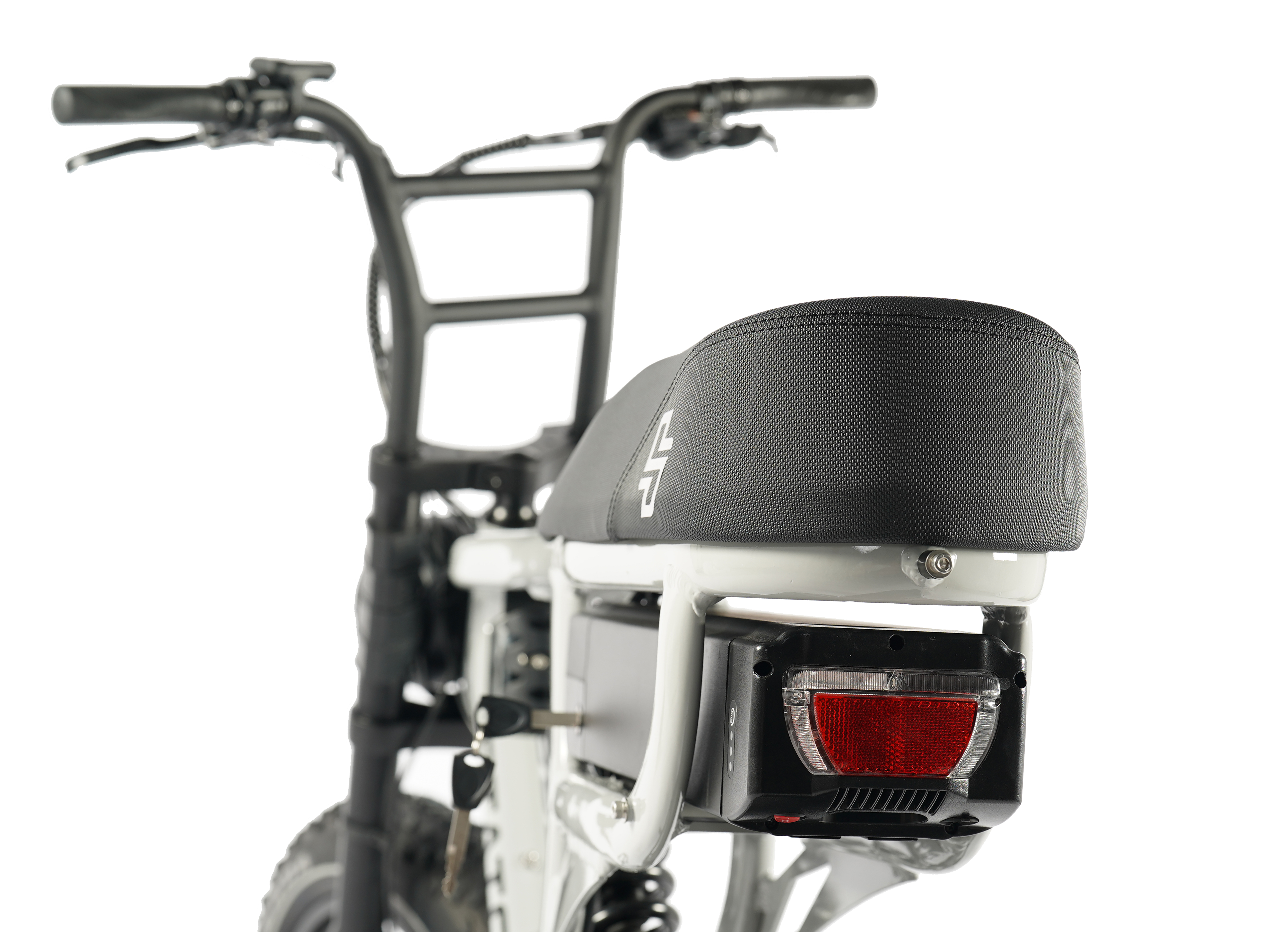 SCOUT S