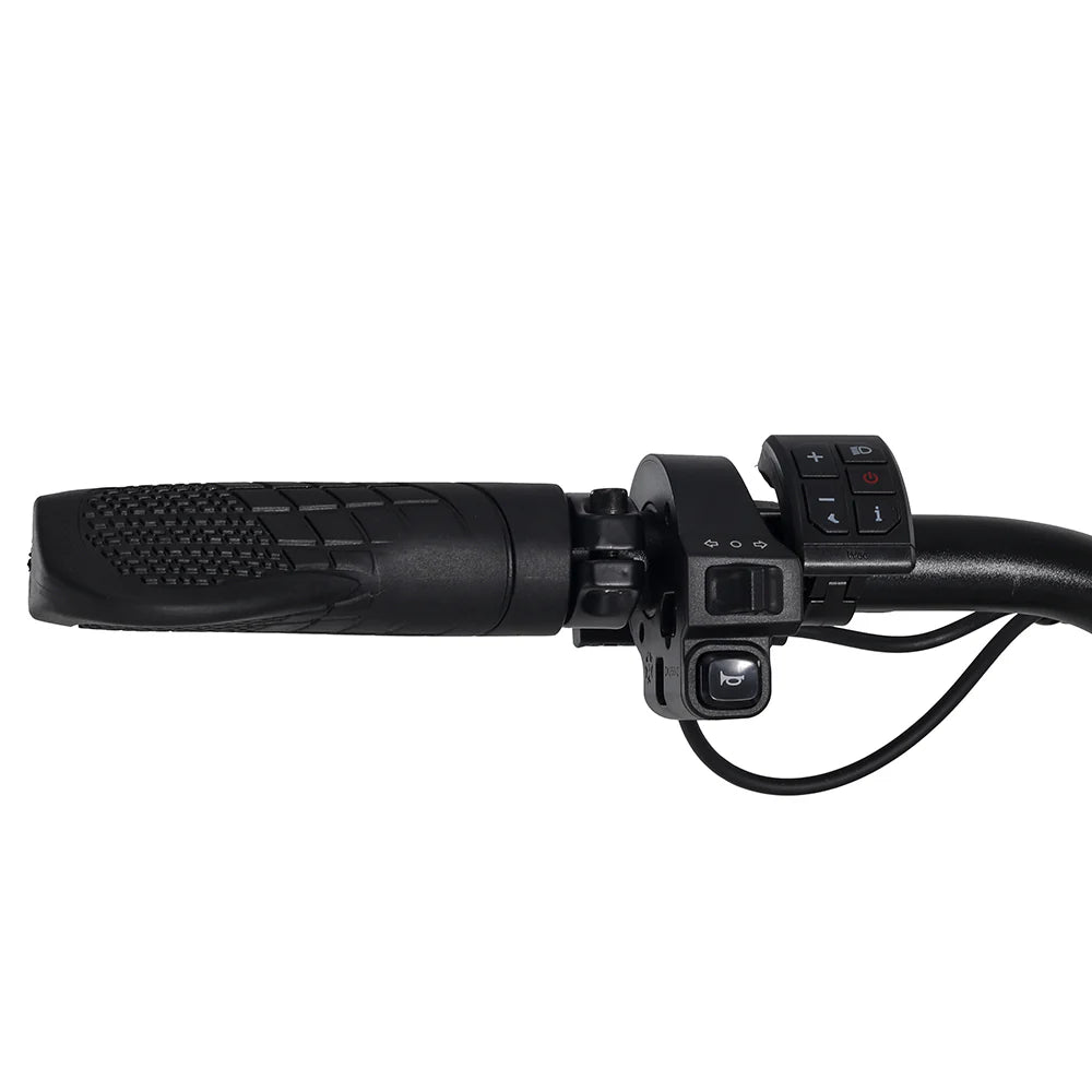 Emma 3.0 2025 Electric Bike