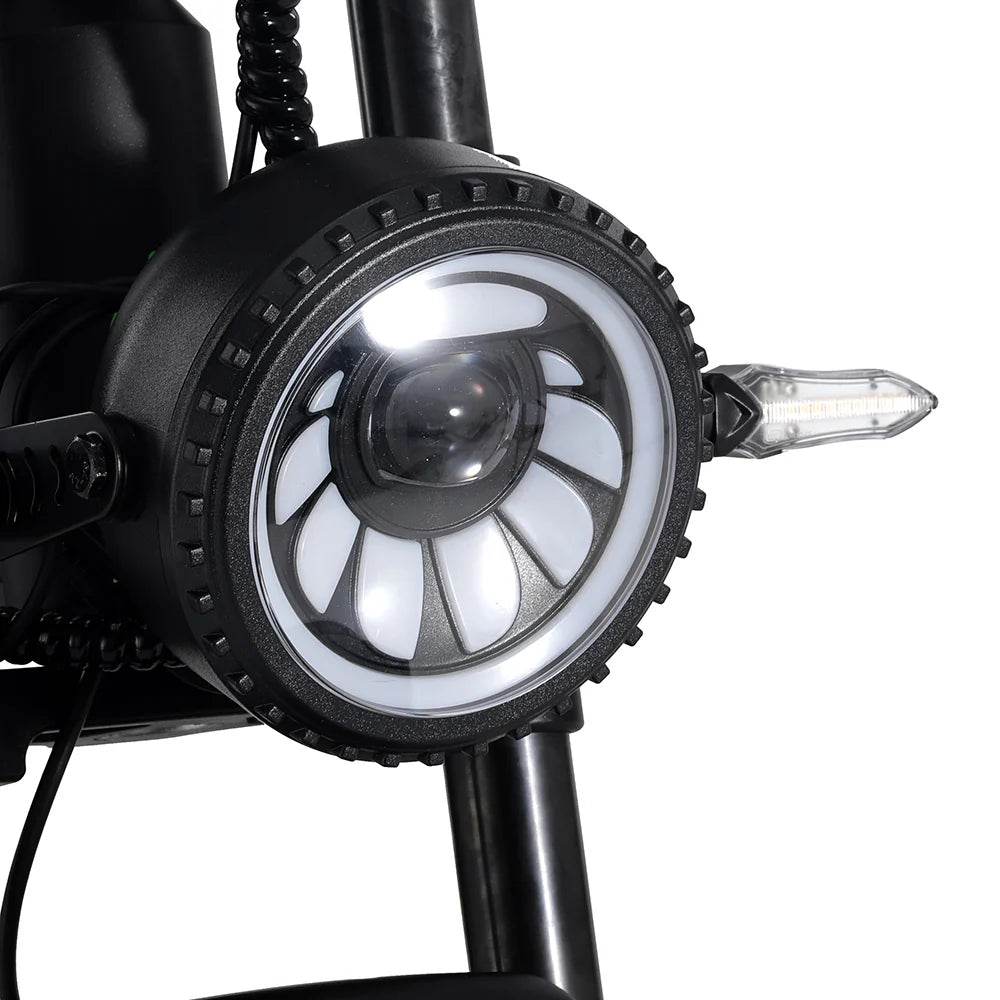 Emma 3.0 2025 Electric Bike