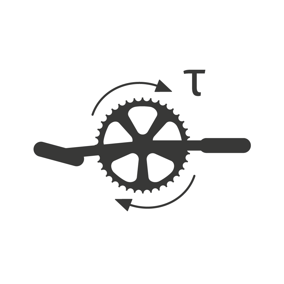 RAYVOLT CRUZER | TORQUE SENSOR (FOR L SIZE)