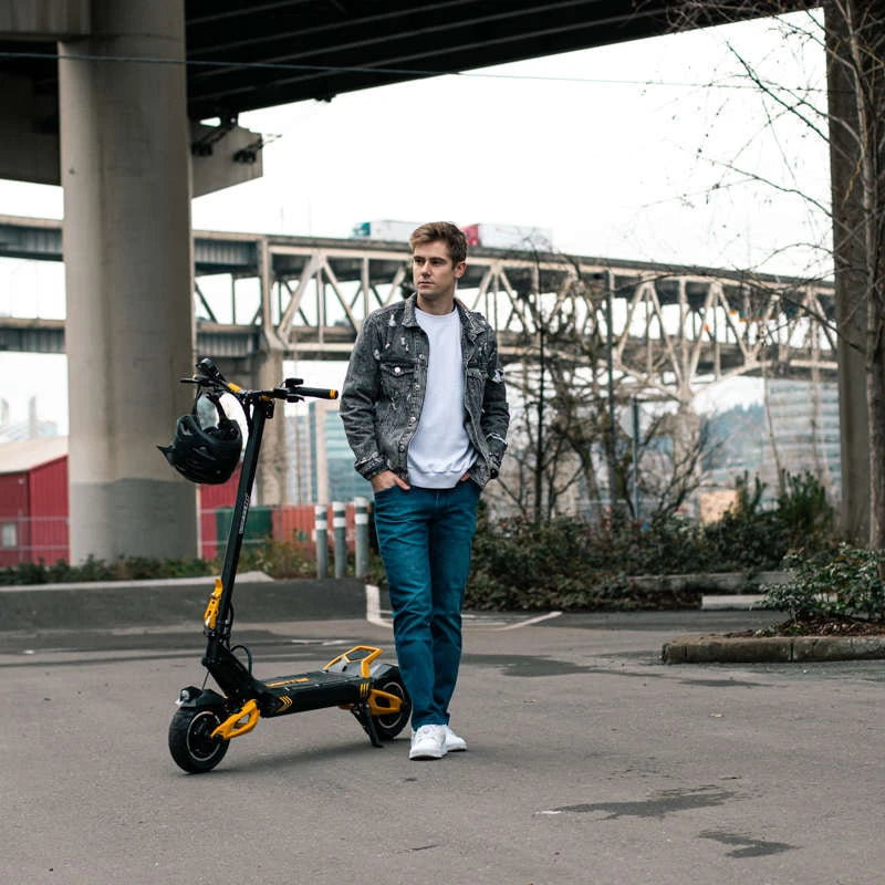 VSETT 10+ Electric Scooter