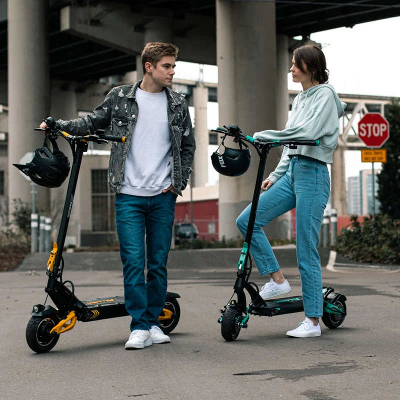 VSETT 10+ Electric Scooter