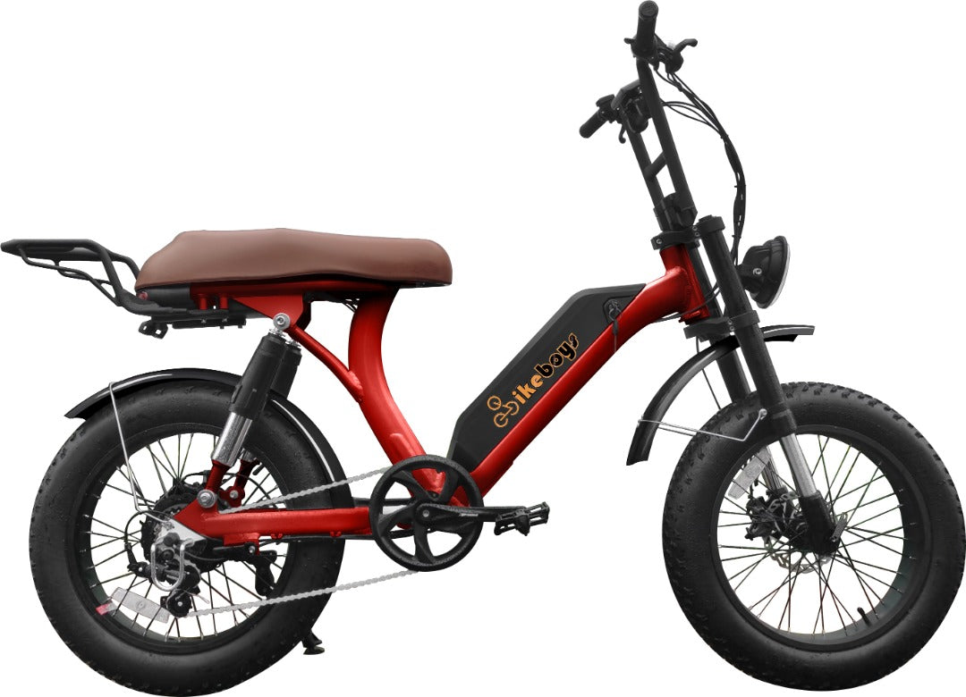 Wrangler Bafang 1500 W twin motors (1500 Watt)