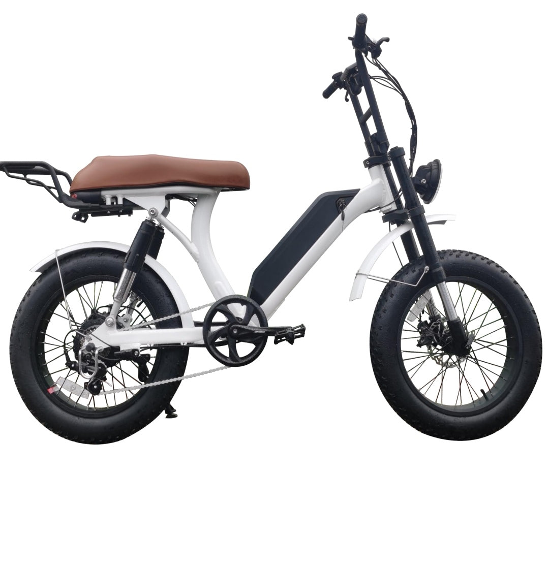 Ranger Bafang 750 Watt