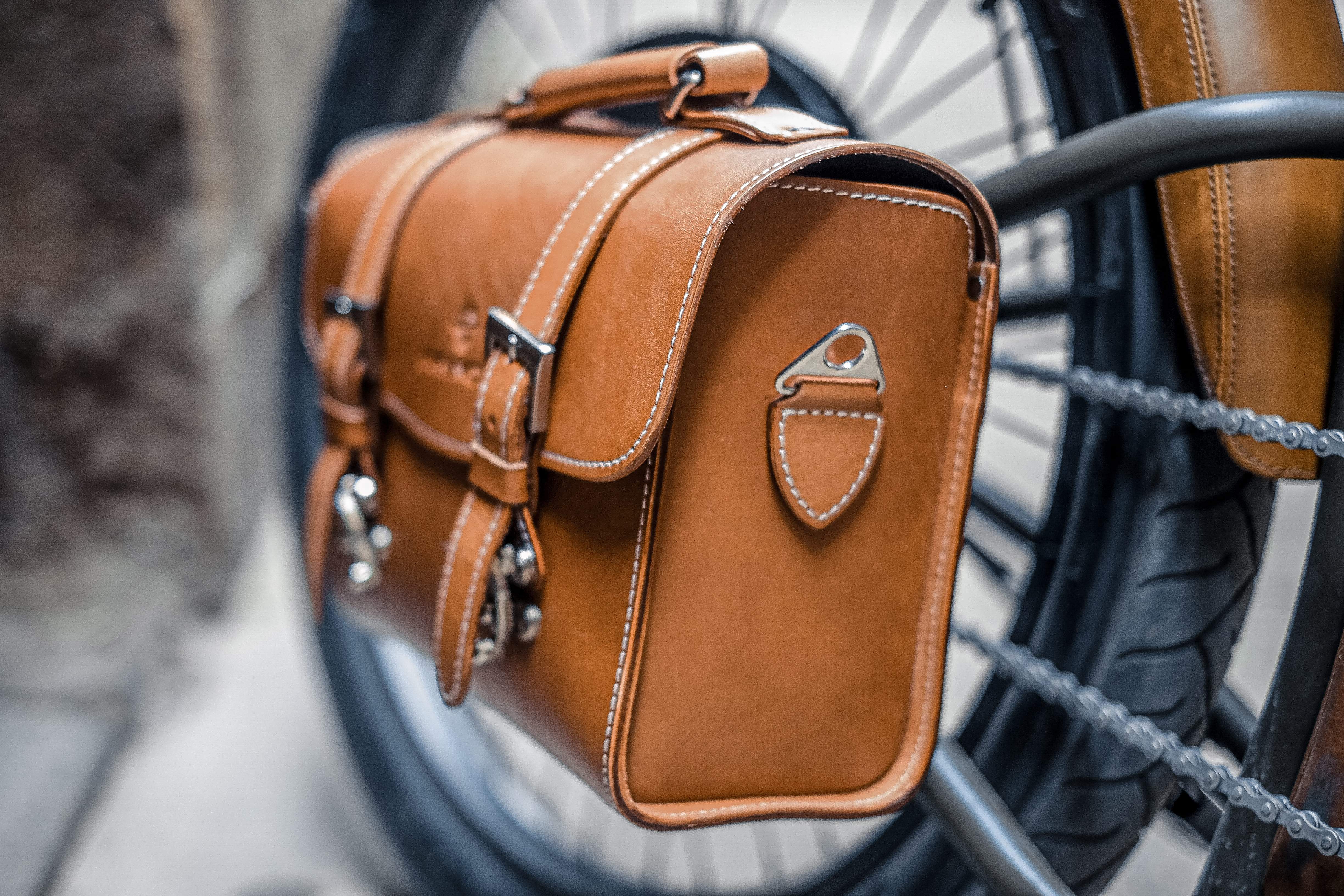 Rayvolt Cruzer v3 Rear Bag
