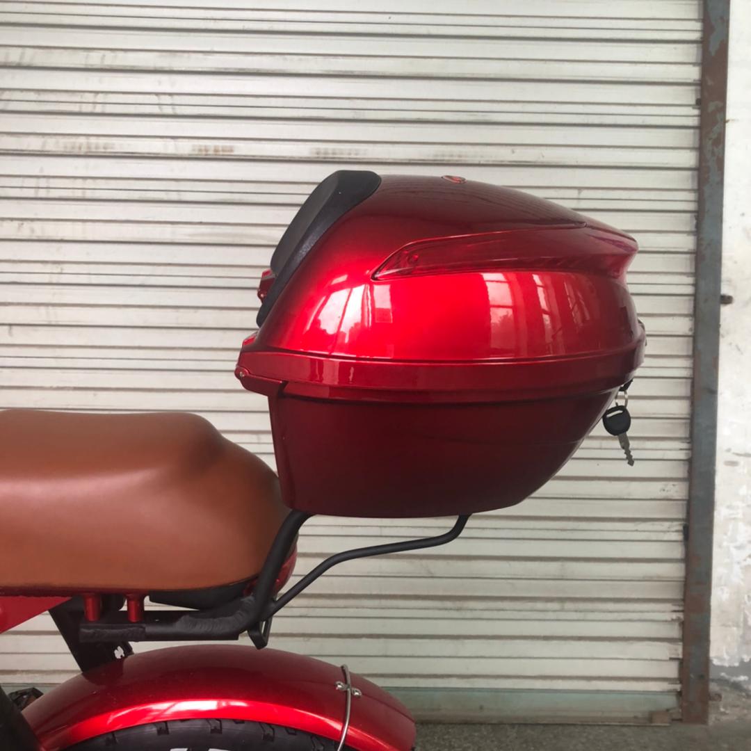 Wrangler Bafang 1500 W twin motors (1500 Watt)