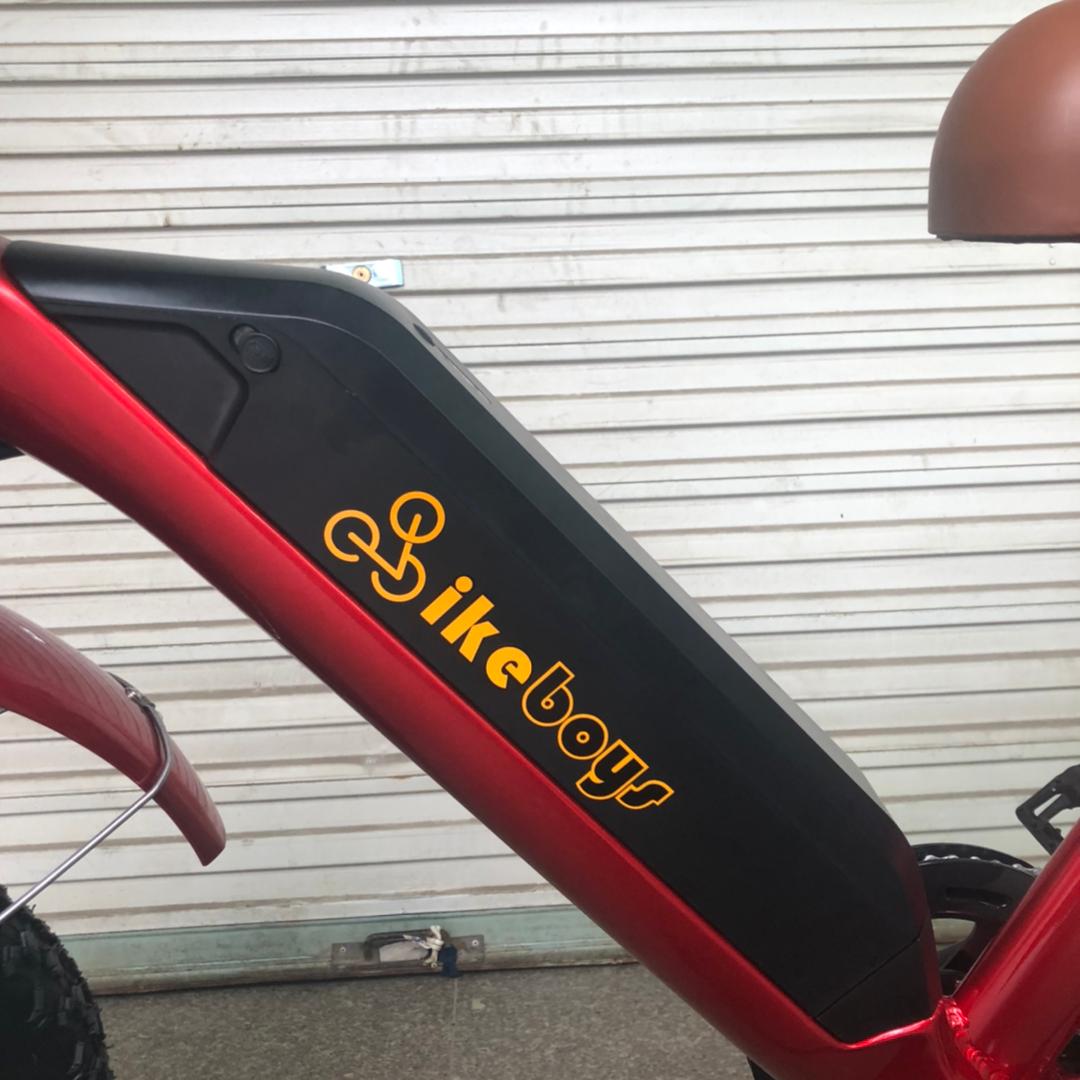 Ebikeboys Wrangler Battery