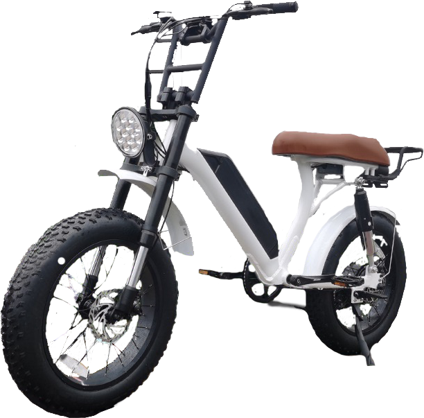 Wrangler Bafang 1500 W twin motors (1500 Watt)