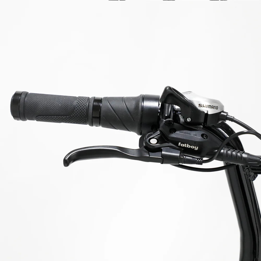 The Harlem V3 Electric Fat Bike