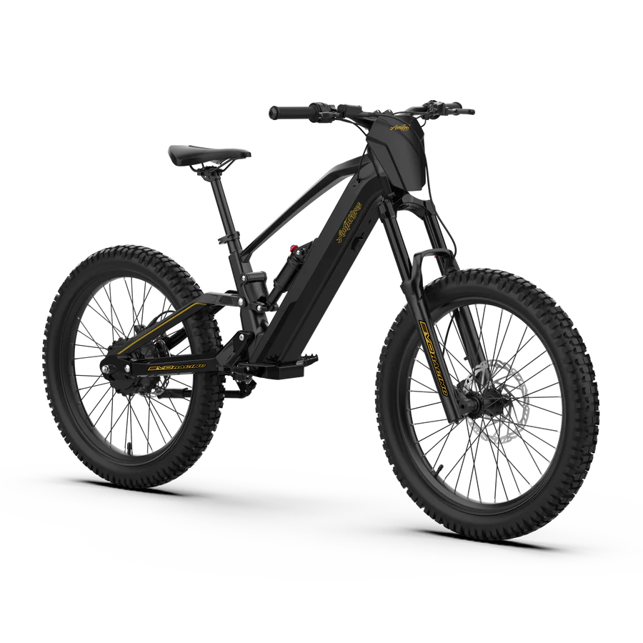 EVO Racing 24" PRO Electric Bike - PRE ORDER