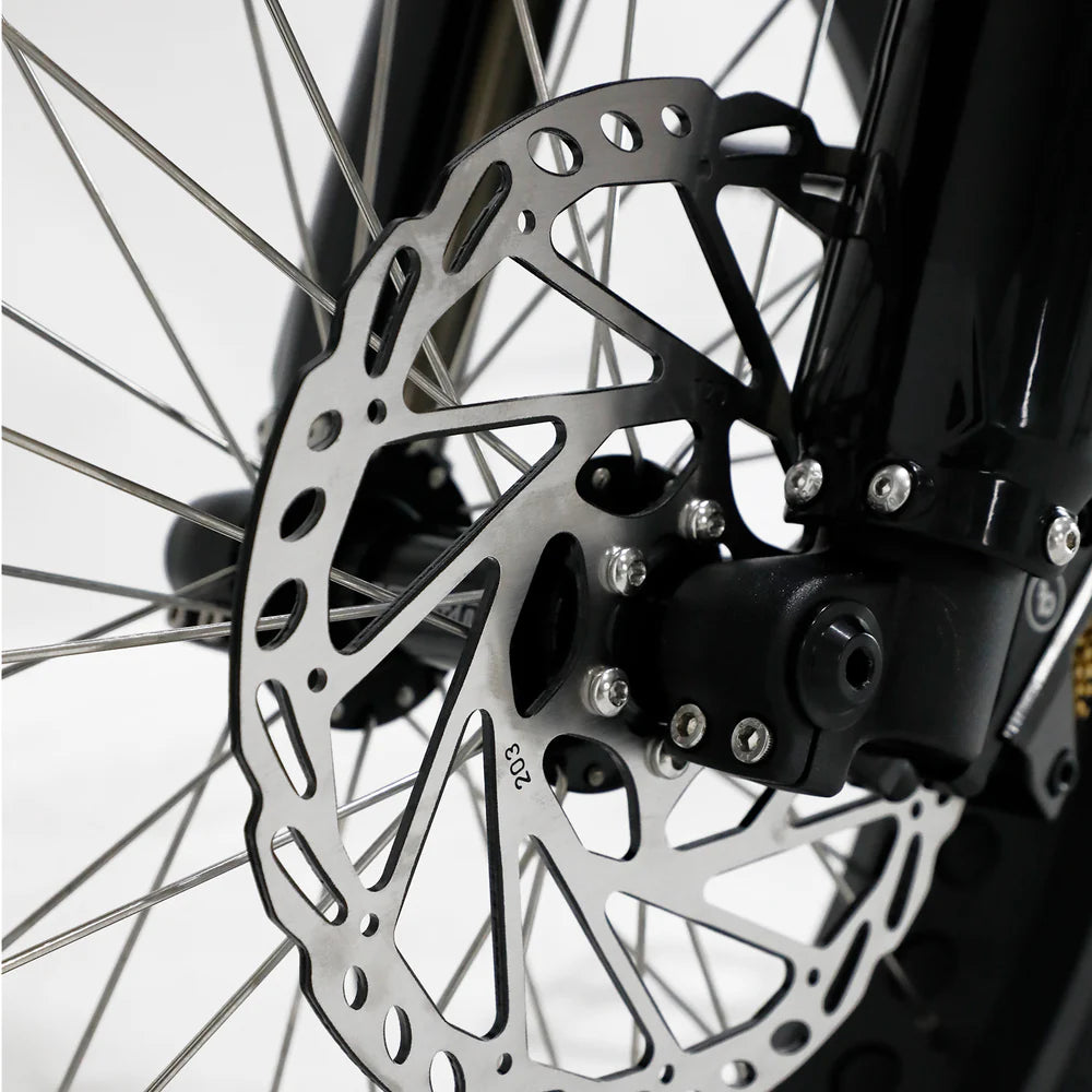 The Harlem V3 Electric Fat Bike