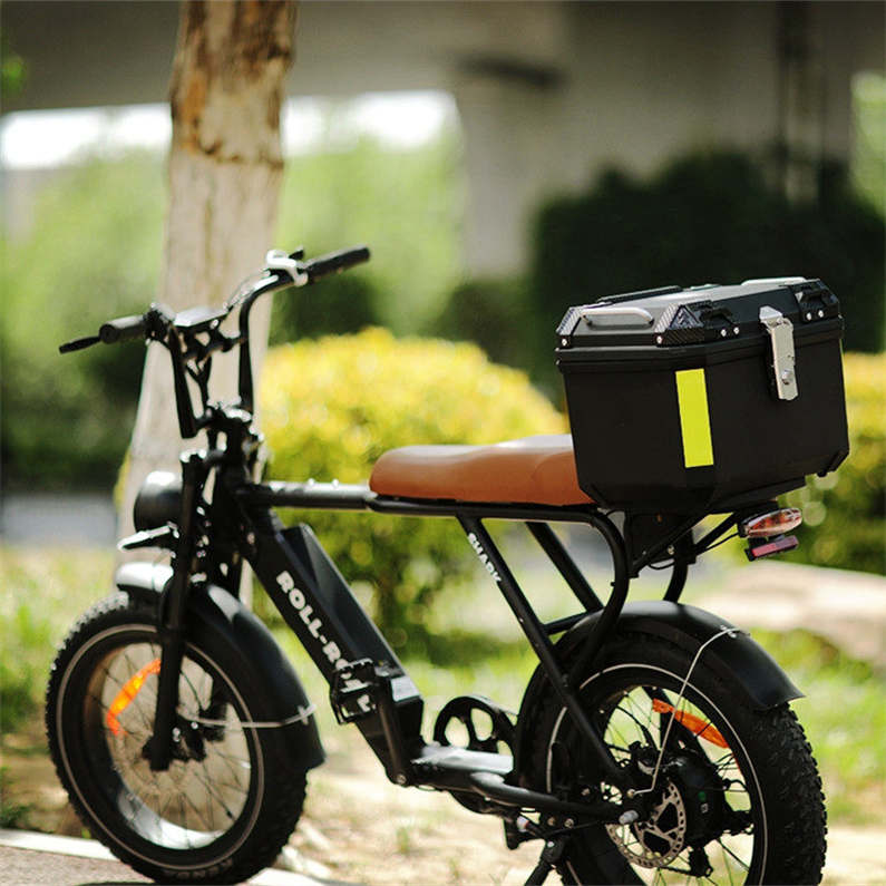 SHARK 2.0 - BAFANG-SUTTO 1000W 48V20AH