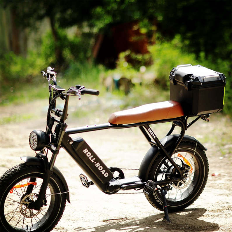 SHARK 2.0 - BAFANG-SUTTO 1000W 48V20AH