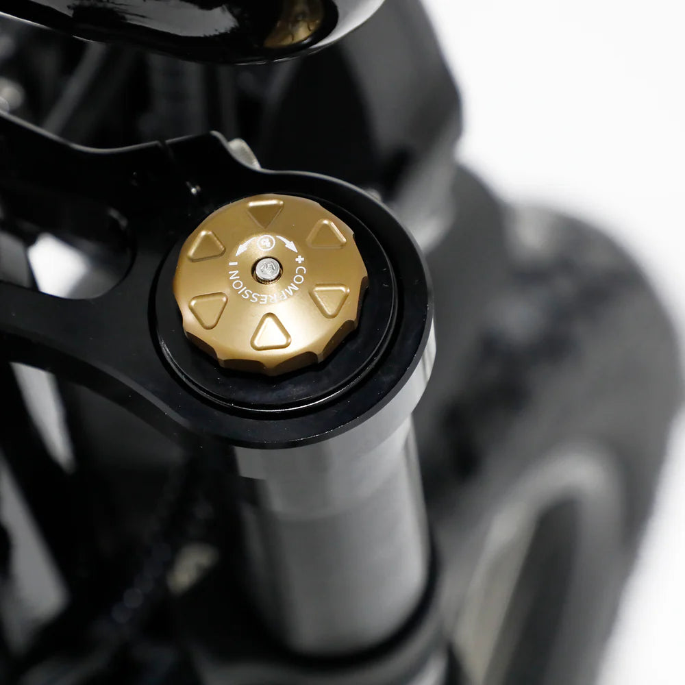 The Harlem V3 Electric Fat Bike