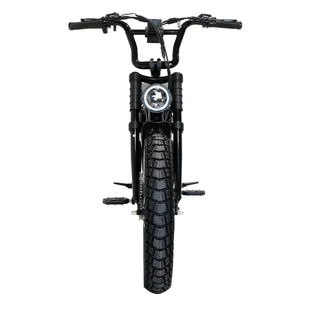 DNA V3 Electric Fat Bike