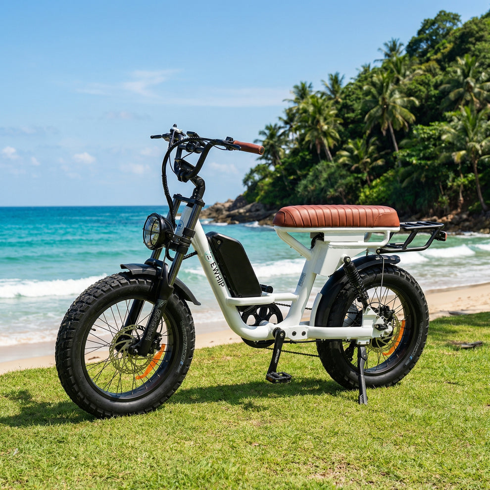 Ewhip Ebikes