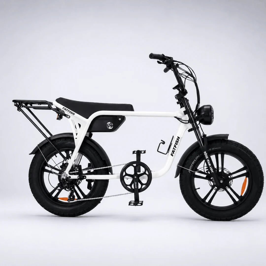 Fatfish Biggie EN15194 Certified  Fat Tyre E-Bike