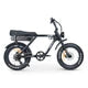 ACE Adventure Electric Bike