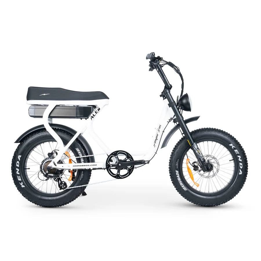 ACE Adventure Electric Bike