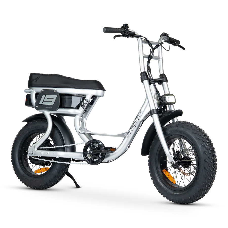 ACE-S Mini Electric Bike