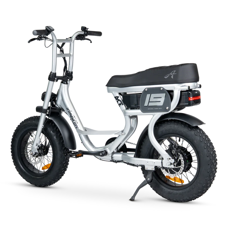 ACE-S Mini Electric Bike