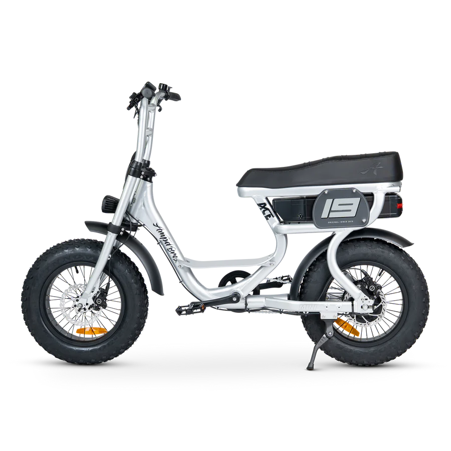ACE-S Mini Electric Bike