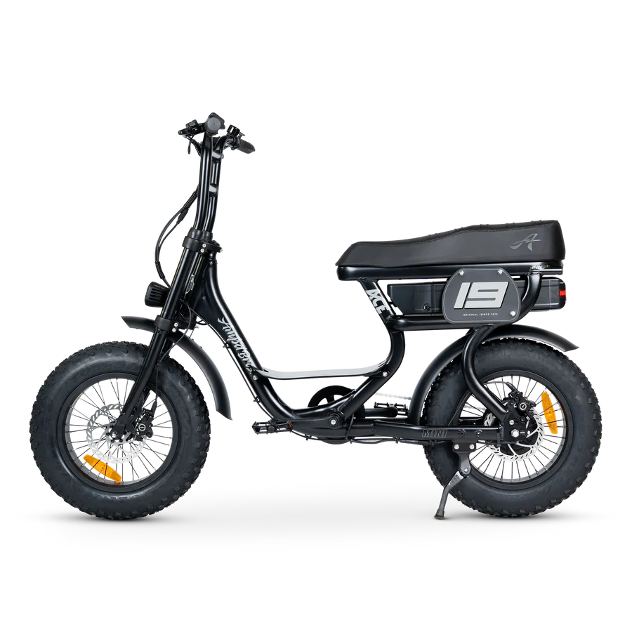ACE-S Mini Electric Bike
