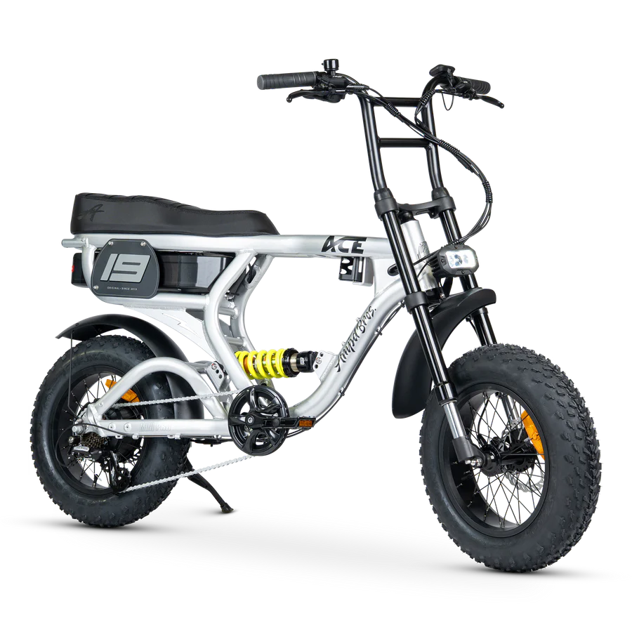 ACE-X Mini PRO Electric Bike
