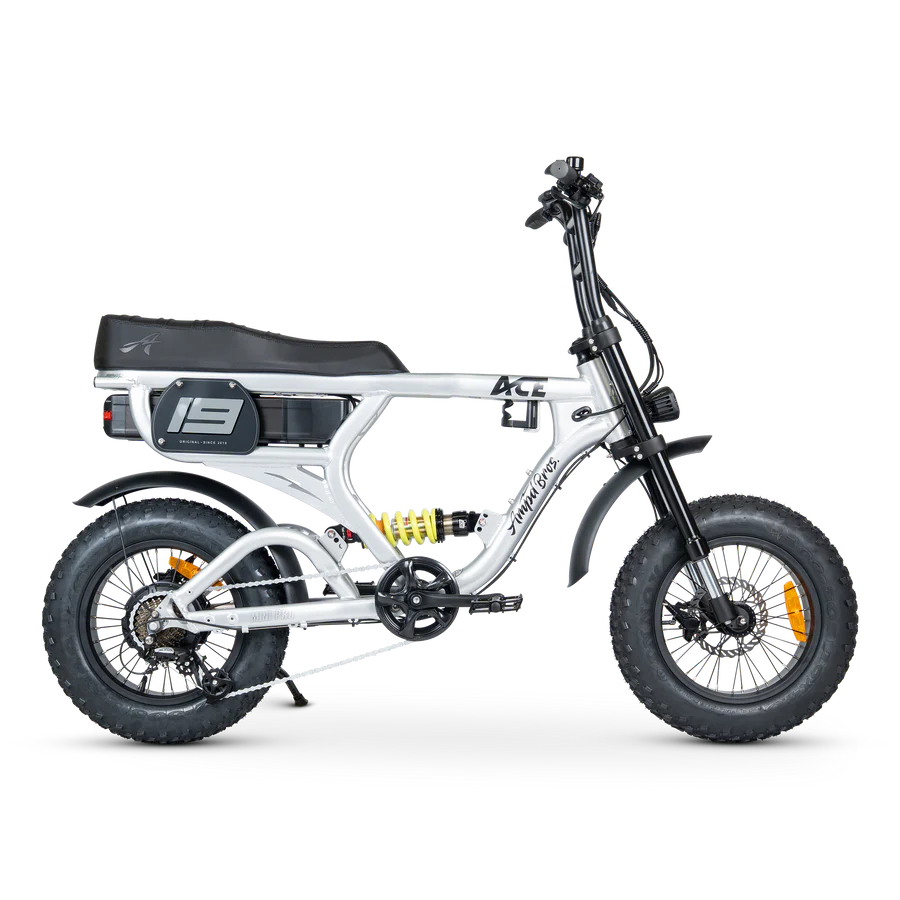 ACE-X Mini PRO Electric Bike