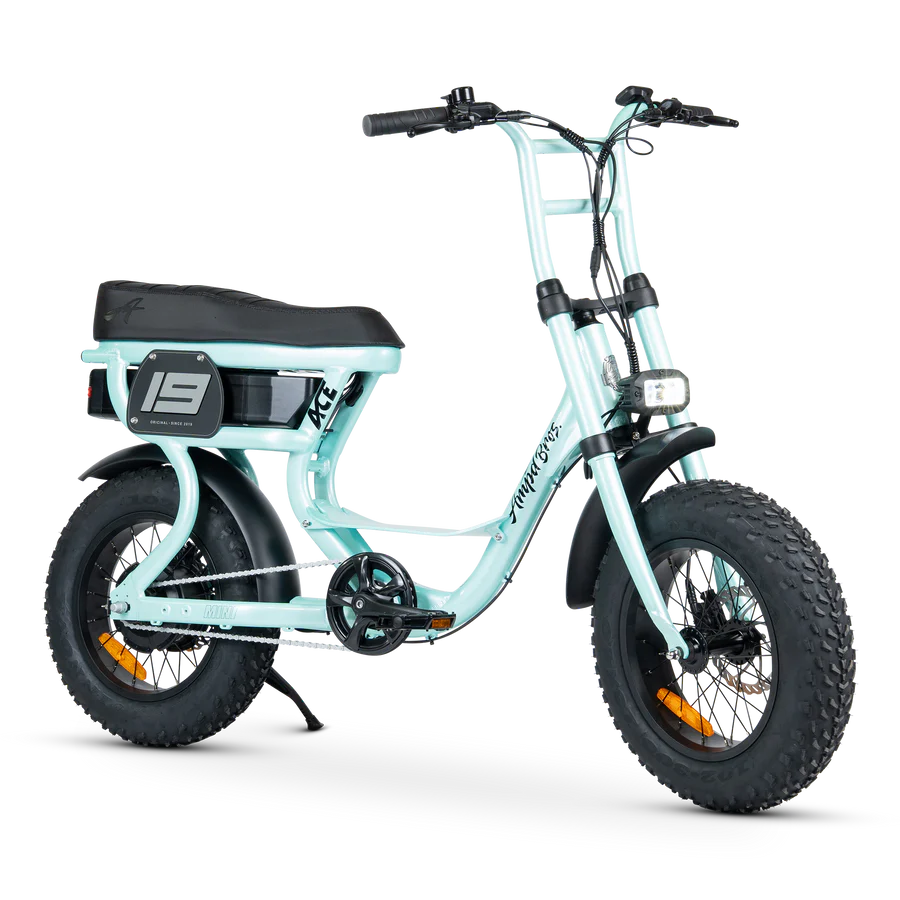 ACE-S Mini Electric Bike