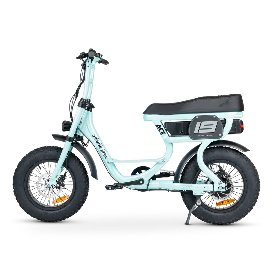 ACE-S Mini Electric Bike