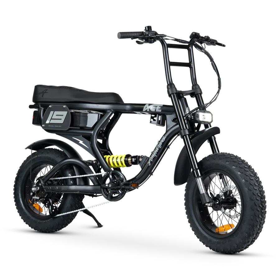 ACE-X Mini PRO Electric Bike