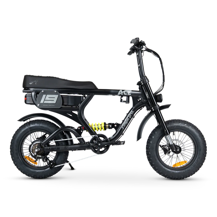 ACE-X Mini PRO Electric Bike