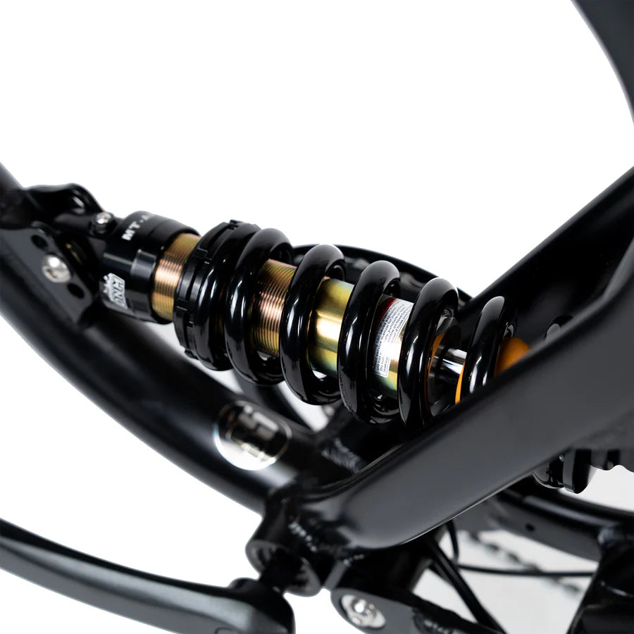 ACE-X Demon Series 5 Dual Electric Bike