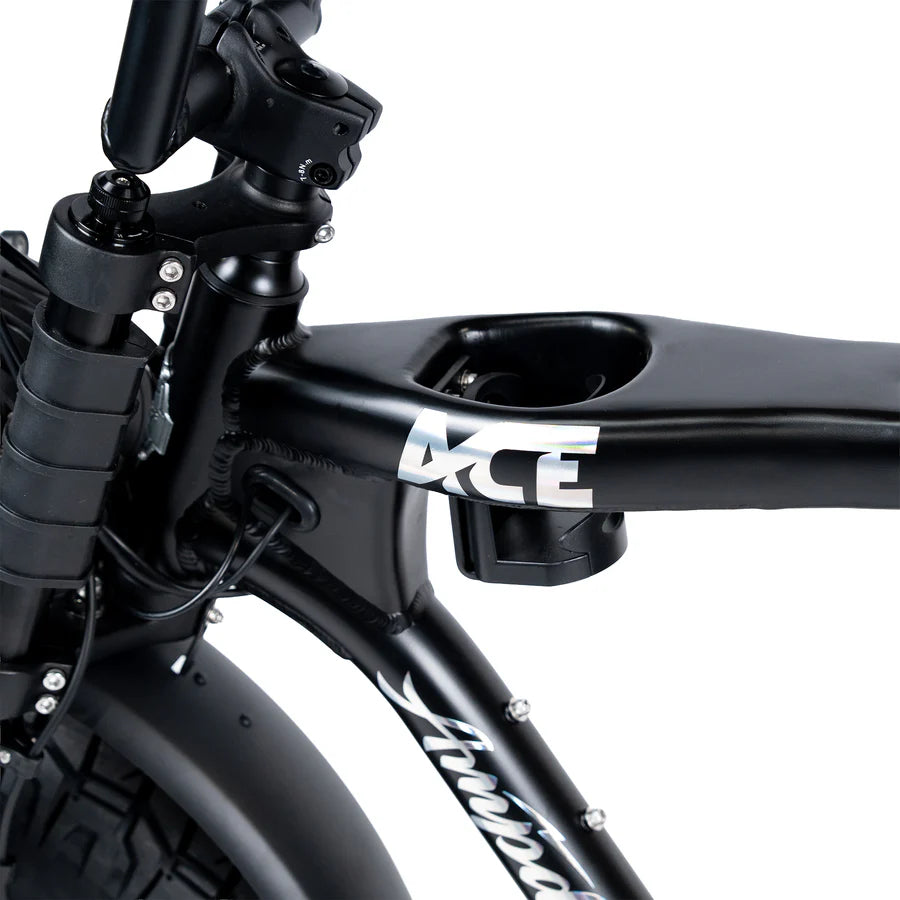 ACE-X Demon Series 5 Dual Electric Bike