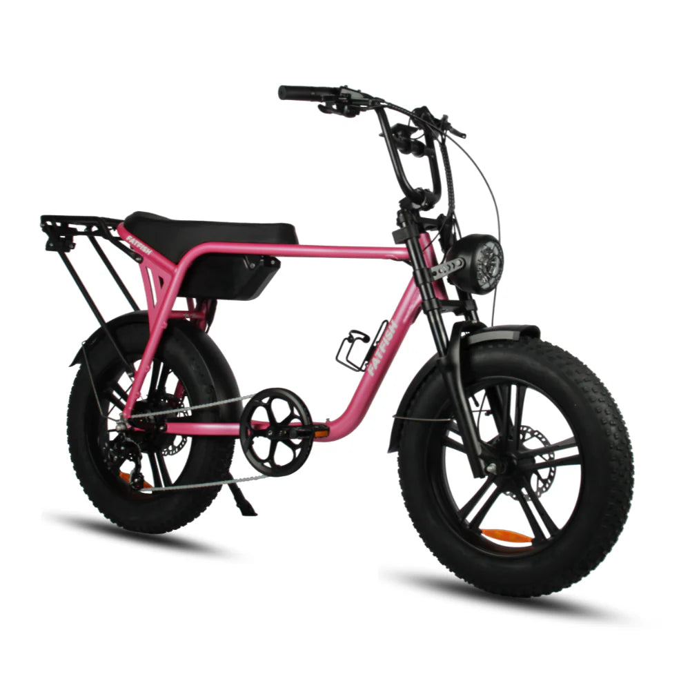 Fatfish Biggie Fat Tyre E-Bike