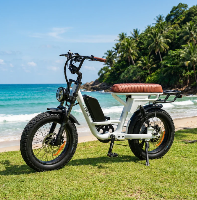 STREET LEGAL ELECTRIC FAT TYRE EBIKE - THE CAPTAIN 250W