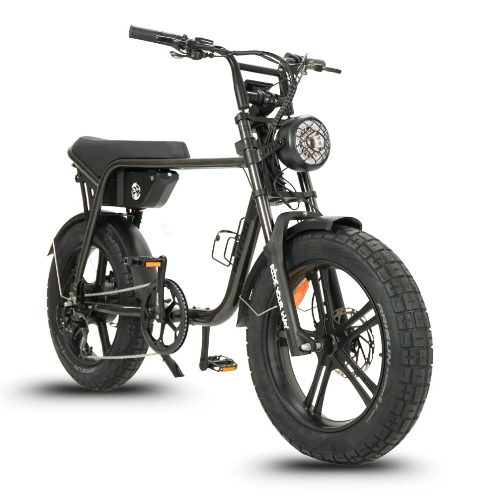 Fatfish OG 2.0 Fat Tyre E-Bike