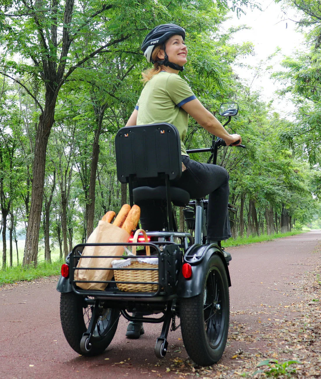 Meet One Breeze Pro Fat Tire Electric Trike