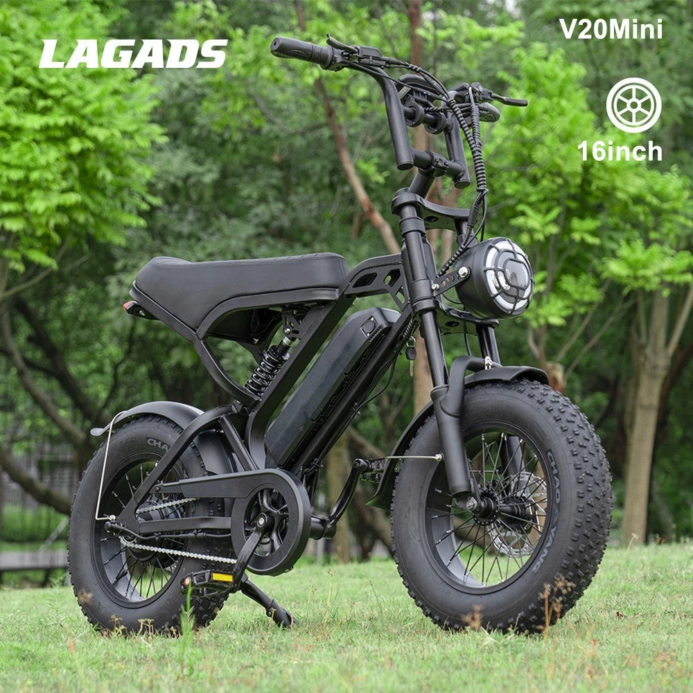 LAGADS V20 (Mini)