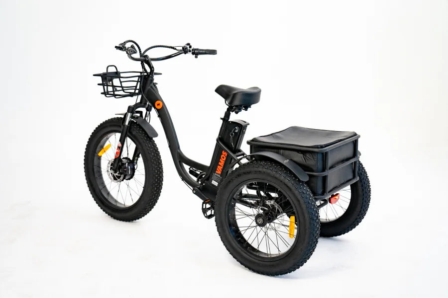 PAPA GRANDE PRO - 3 WHEEL E-TRIKE