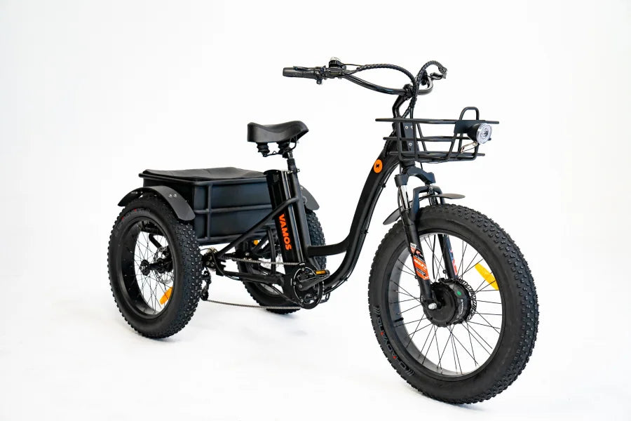 PAPA GRANDE PRO - 3 WHEEL E-TRIKE