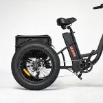 PAPA GRANDE PRO - 3 WHEEL E-TRIKE